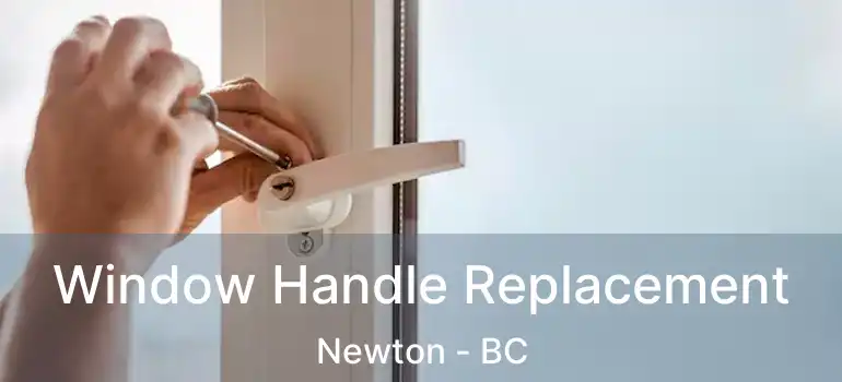  Window Handle Replacement Newton - BC