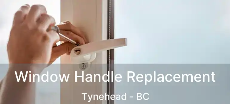  Window Handle Replacement Tynehead - BC