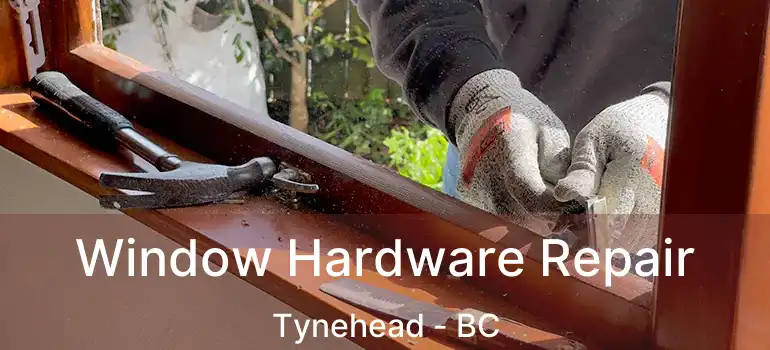  Window Hardware Repair Tynehead - BC
