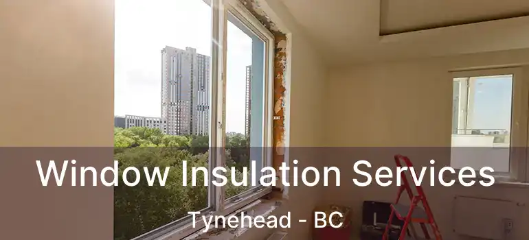  Window Insulation Services Tynehead - BC