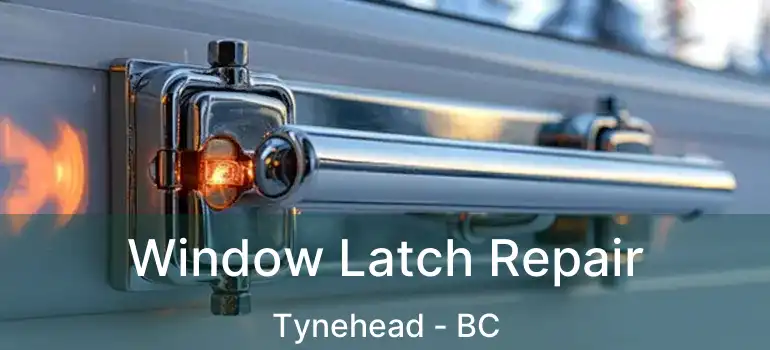  Window Latch Repair Tynehead - BC
