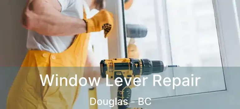  Window Lever Repair Douglas - BC