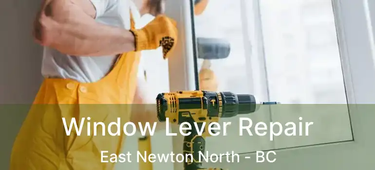  Window Lever Repair East Newton North - BC