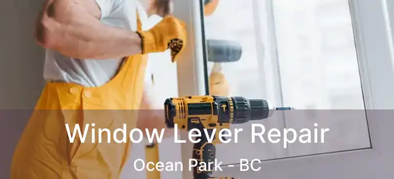  Window Lever Repair Ocean Park - BC