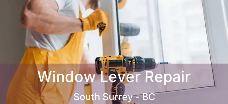  Window Lever Repair South Surrey - BC