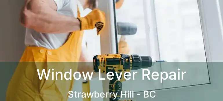  Window Lever Repair Strawberry Hill - BC