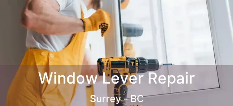  Window Lever Repair Surrey - BC