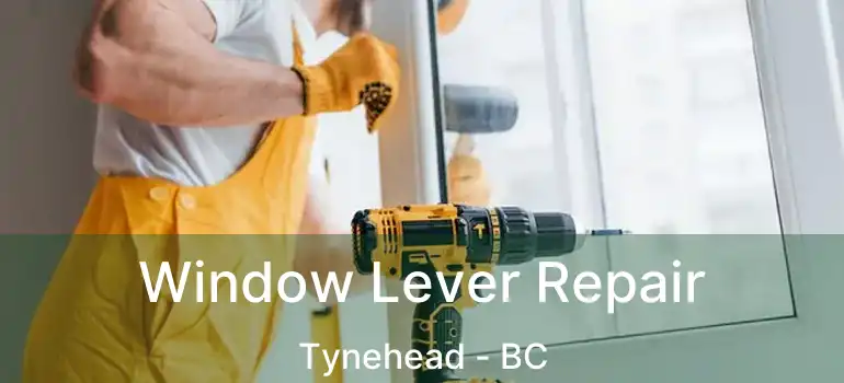  Window Lever Repair Tynehead - BC