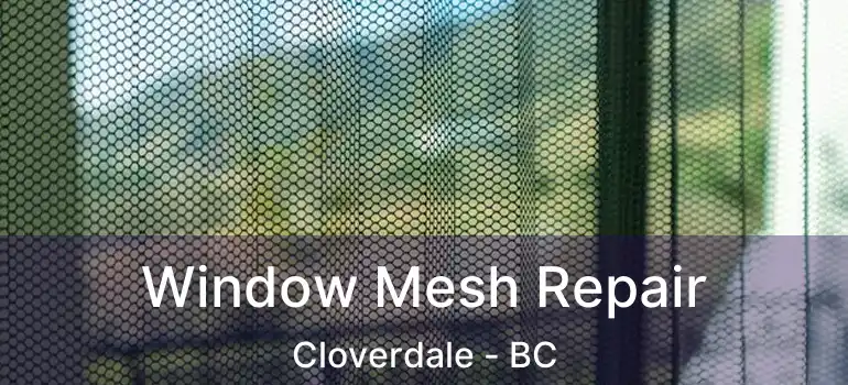  Window Mesh Repair Cloverdale - BC