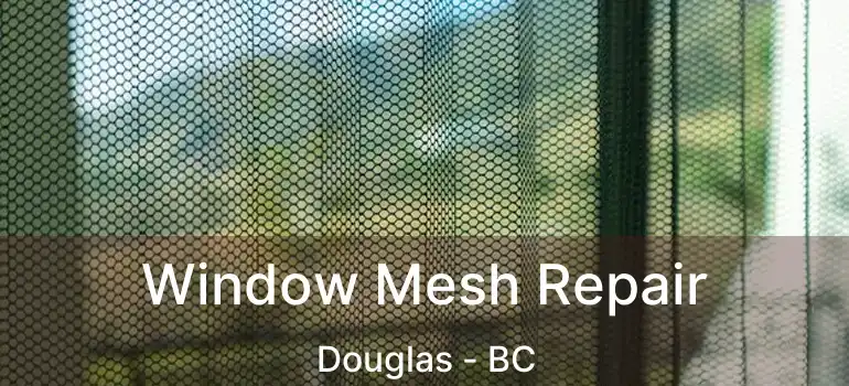  Window Mesh Repair Douglas - BC