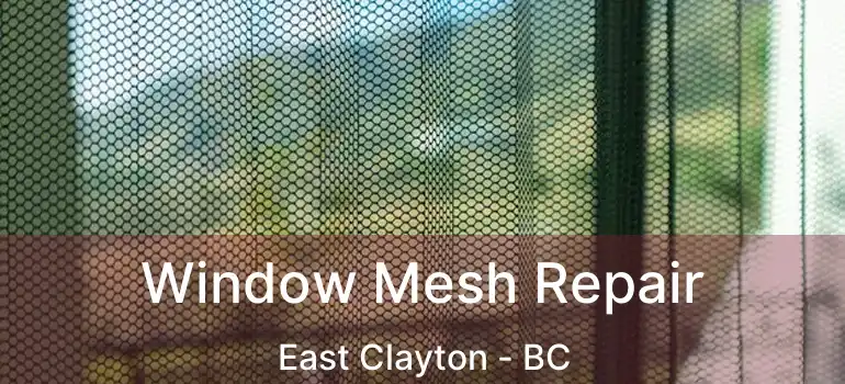  Window Mesh Repair East Clayton - BC