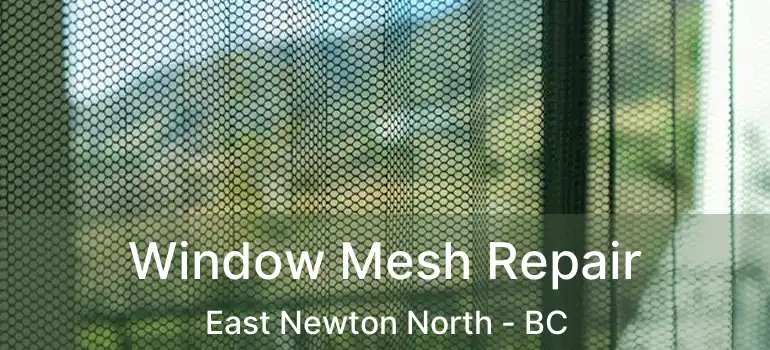  Window Mesh Repair East Newton North - BC