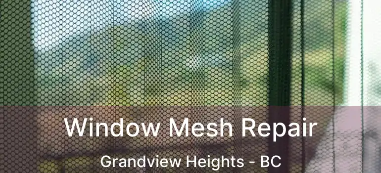  Window Mesh Repair Grandview Heights - BC