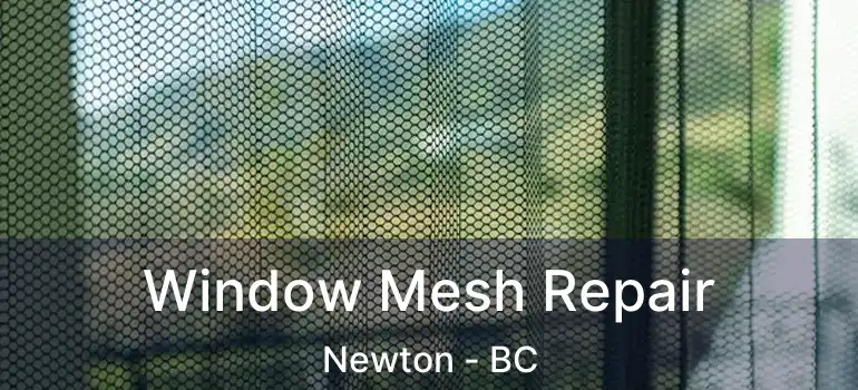  Window Mesh Repair Newton - BC