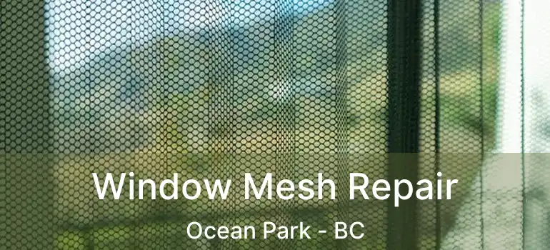  Window Mesh Repair Ocean Park - BC