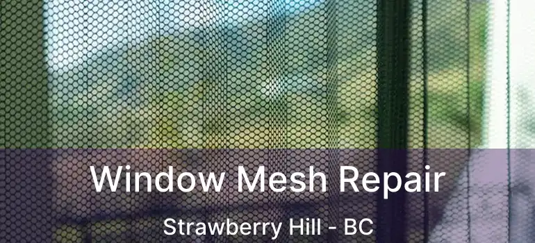  Window Mesh Repair Strawberry Hill - BC