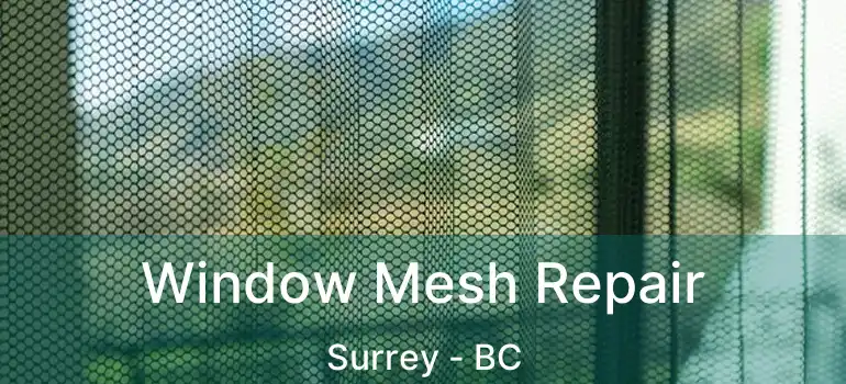  Window Mesh Repair Surrey - BC