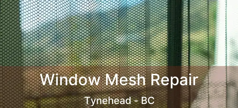  Window Mesh Repair Tynehead - BC