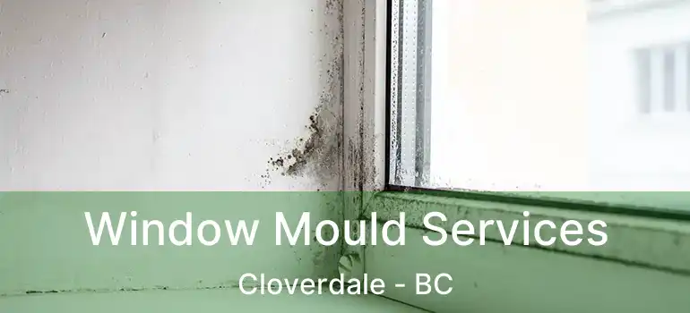  Window Mould Services Cloverdale - BC