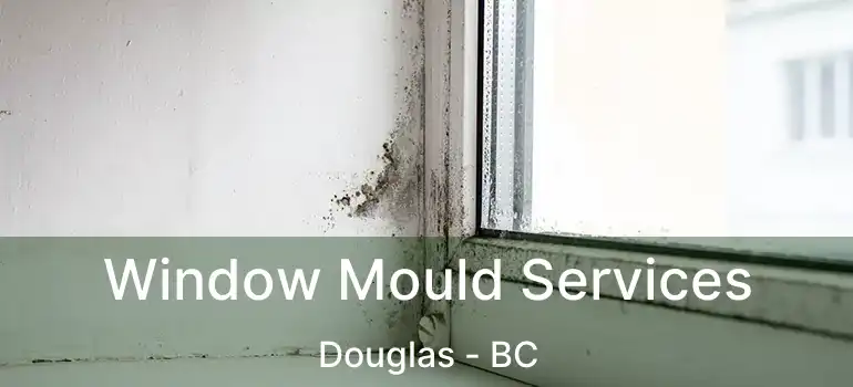  Window Mould Services Douglas - BC