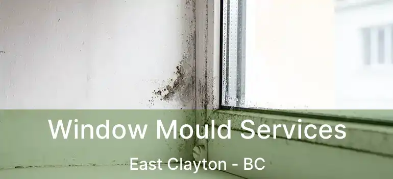  Window Mould Services East Clayton - BC
