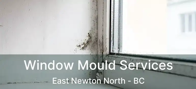  Window Mould Services East Newton North - BC