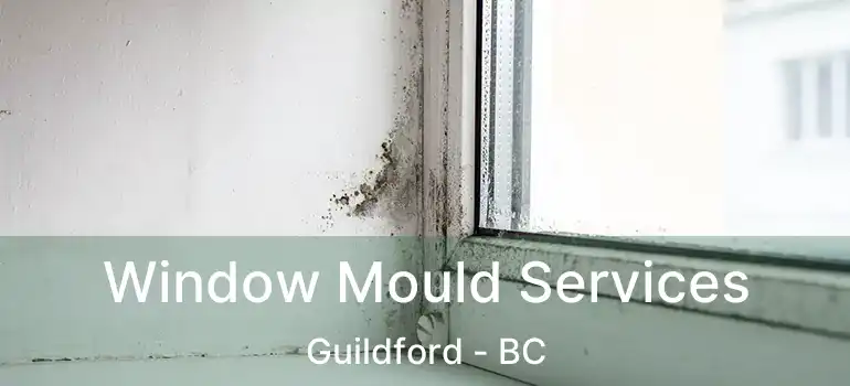  Window Mould Services Guildford - BC