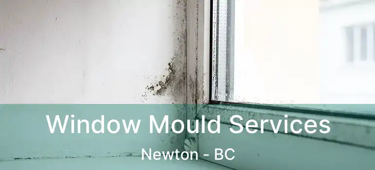  Window Mould Services Newton - BC
