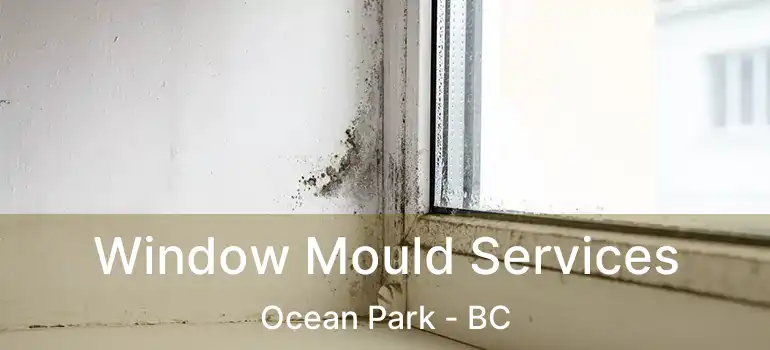  Window Mould Services Ocean Park - BC