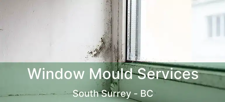  Window Mould Services South Surrey - BC