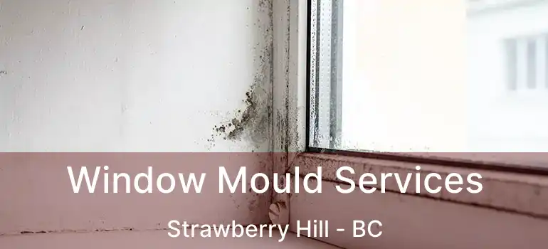  Window Mould Services Strawberry Hill - BC
