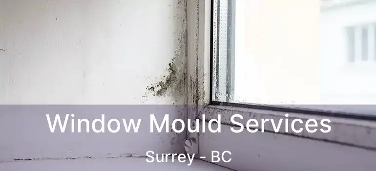  Window Mould Services Surrey - BC