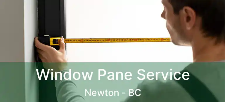  Window Pane Service Newton - BC