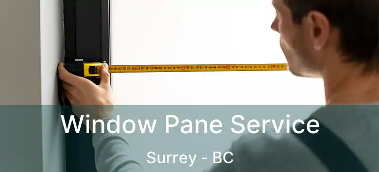  Window Pane Service Surrey - BC