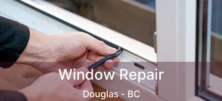  Window Repair Douglas - BC