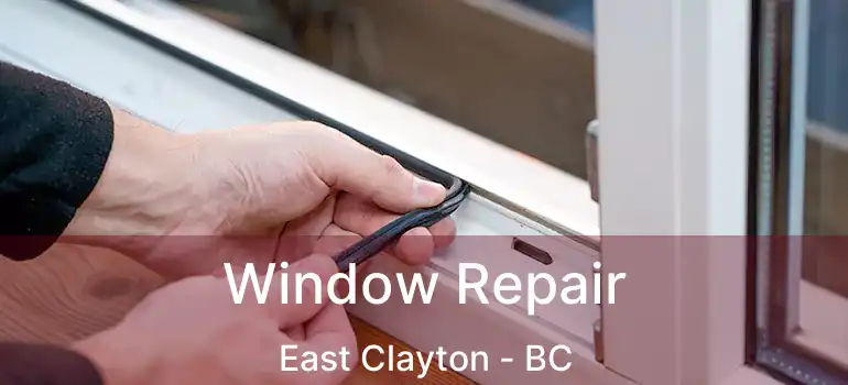  Window Repair East Clayton - BC