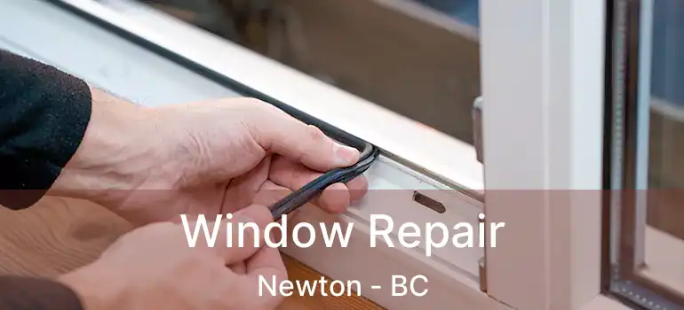  Window Repair Newton - BC