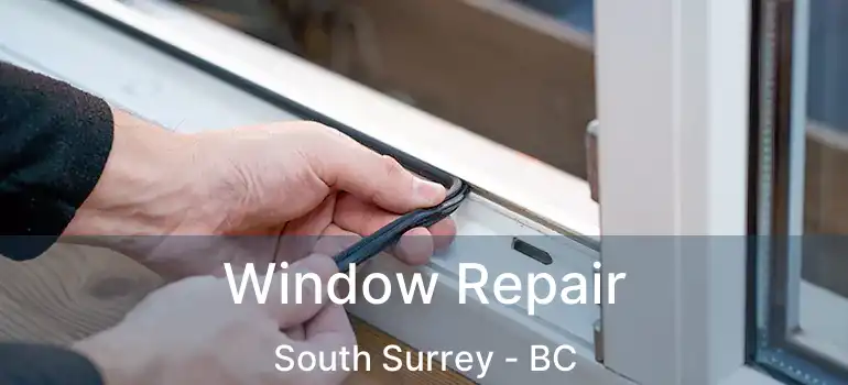  Window Repair South Surrey - BC