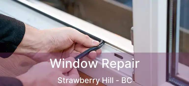  Window Repair Strawberry Hill - BC