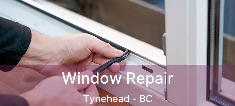  Window Repair Tynehead - BC