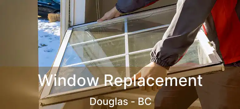 Window Replacement Douglas - BC