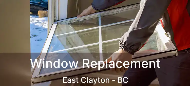  Window Replacement East Clayton - BC