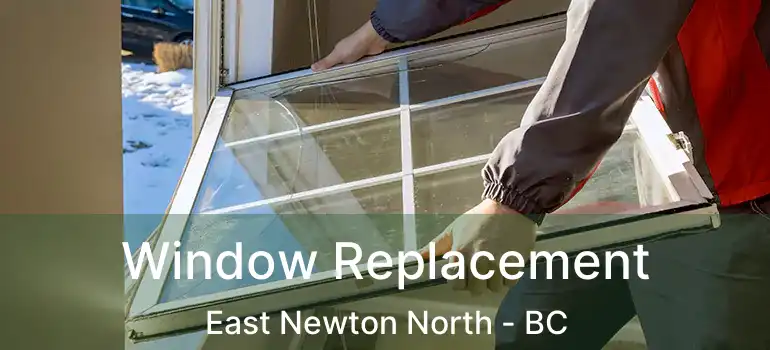  Window Replacement East Newton North - BC