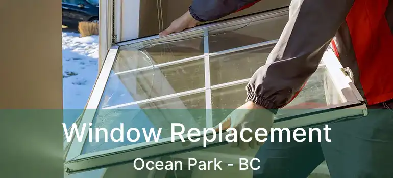  Window Replacement Ocean Park - BC