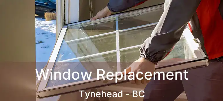  Window Replacement Tynehead - BC