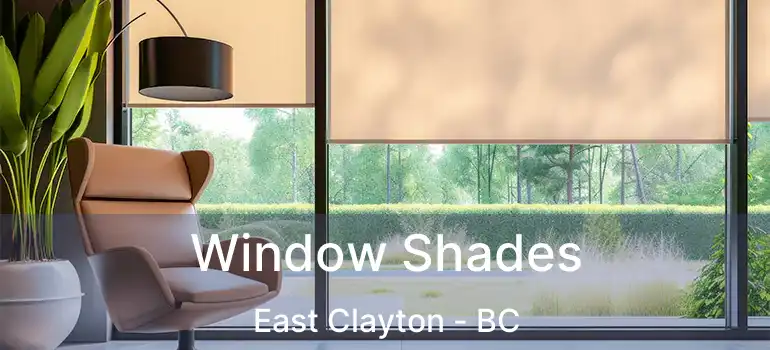  Window Shades East Clayton - BC