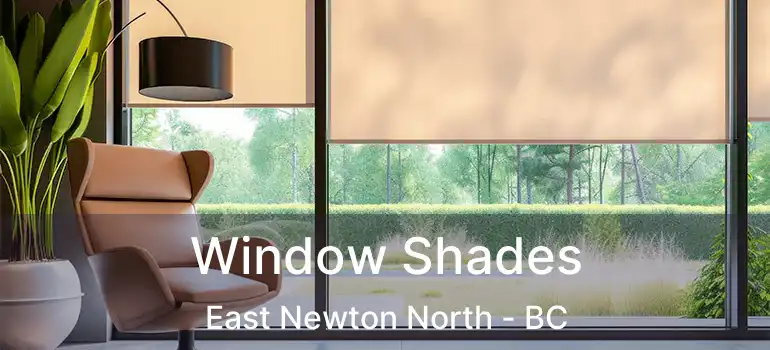  Window Shades East Newton North - BC