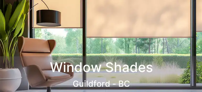  Window Shades Guildford - BC