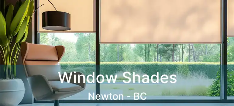  Window Shades Newton - BC