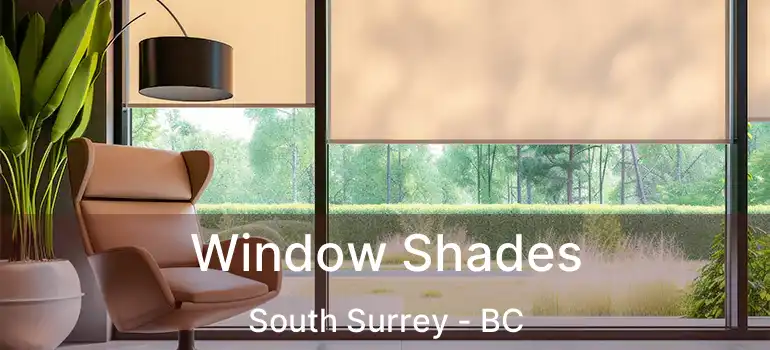  Window Shades South Surrey - BC